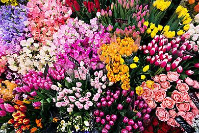 SONIC LIVE DRAWING in ASIA活动今天开始 插画复制品抽奖进行中